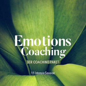 emTrace Emotionscoaching - 3er Coaching-Paket
